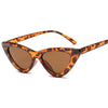 Luxury Cat Eye Retro Sunglasses